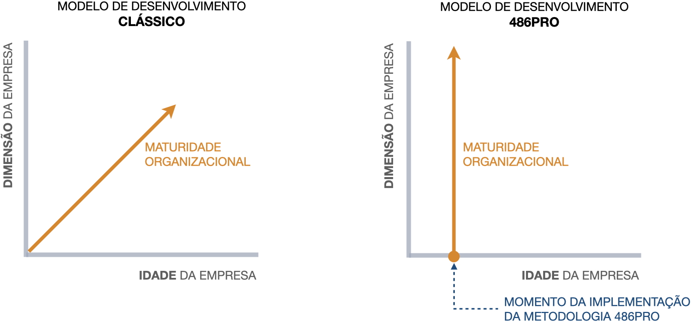02_PT_EvolucaoEmpresa_optimizado