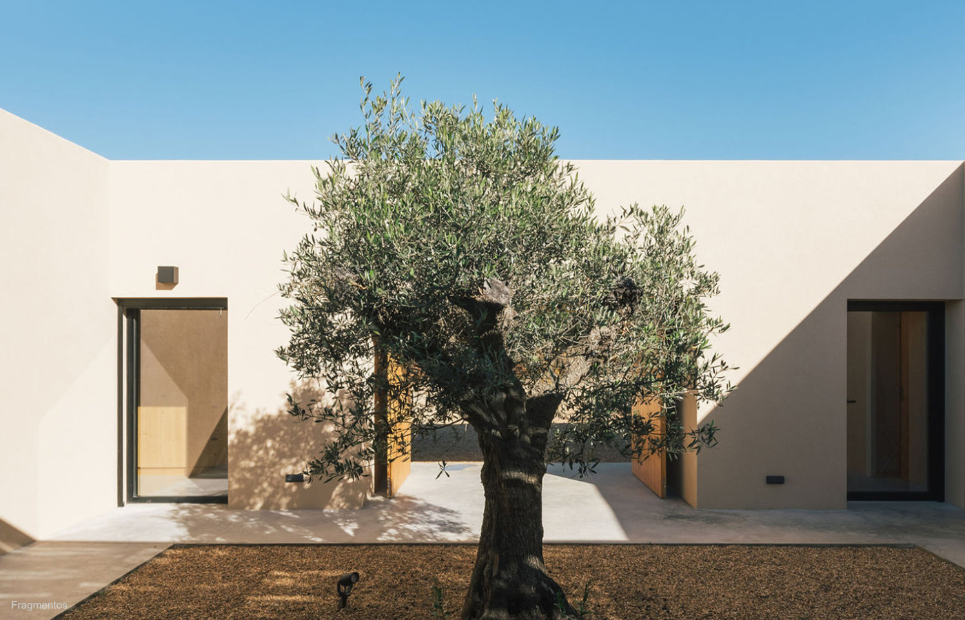 img_ph_ed_polivalente