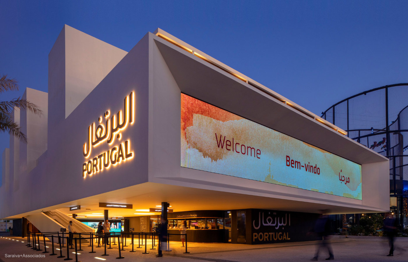 mudas 24-web_1417x945.jpg